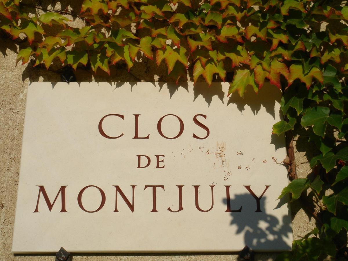 Clos De Mont July, Architecture Xviiie Au Coeur De La Nature Ceyzeriat Ngoại thất bức ảnh