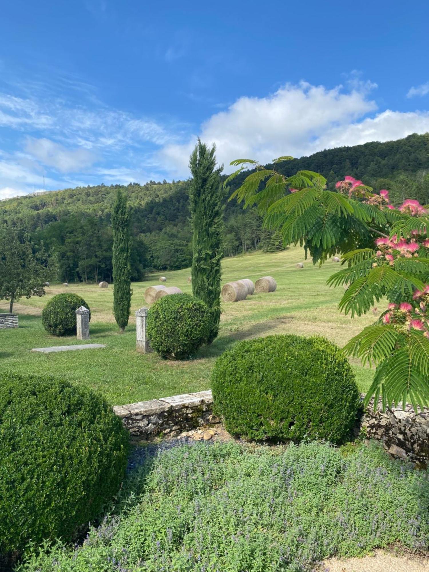Clos De Mont July, Architecture Xviiie Au Coeur De La Nature Ceyzeriat Ngoại thất bức ảnh